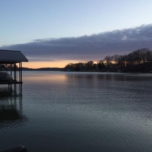 Meet your Posher, Bennett